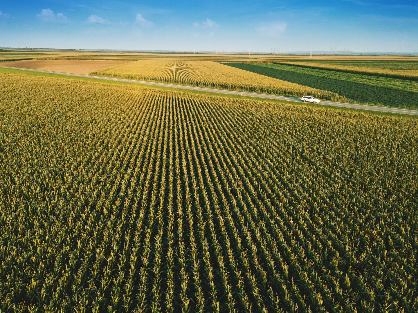 الاستثمار في الأراضي الزراعية المُدارة: لماذا يعد أحد أفضل الخيارات خلال الأزمة الاقتصادية لعام 2020